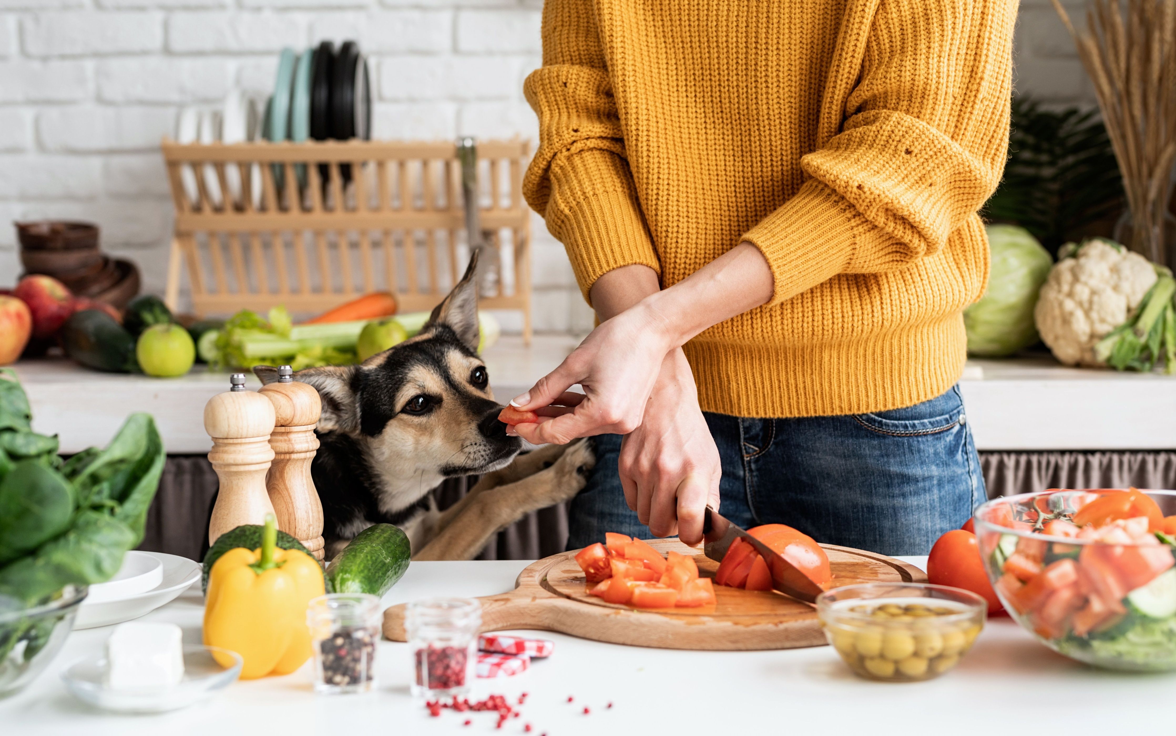 Woman giving a piece of a vegetable to a dog