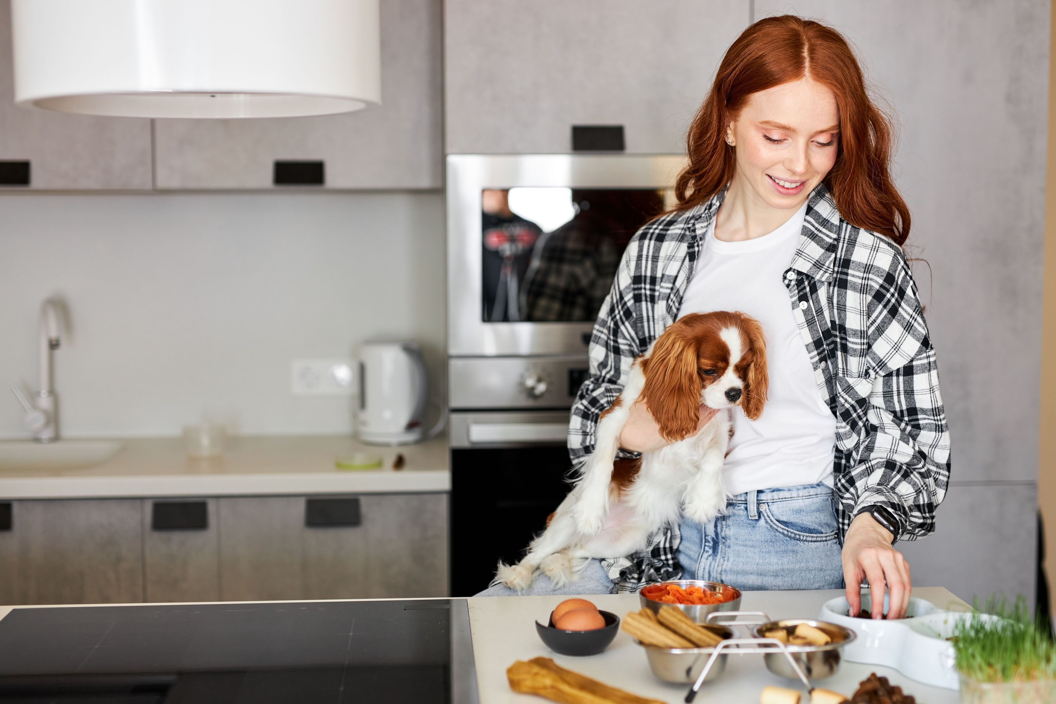 reparing Meal Food For Pet Dog