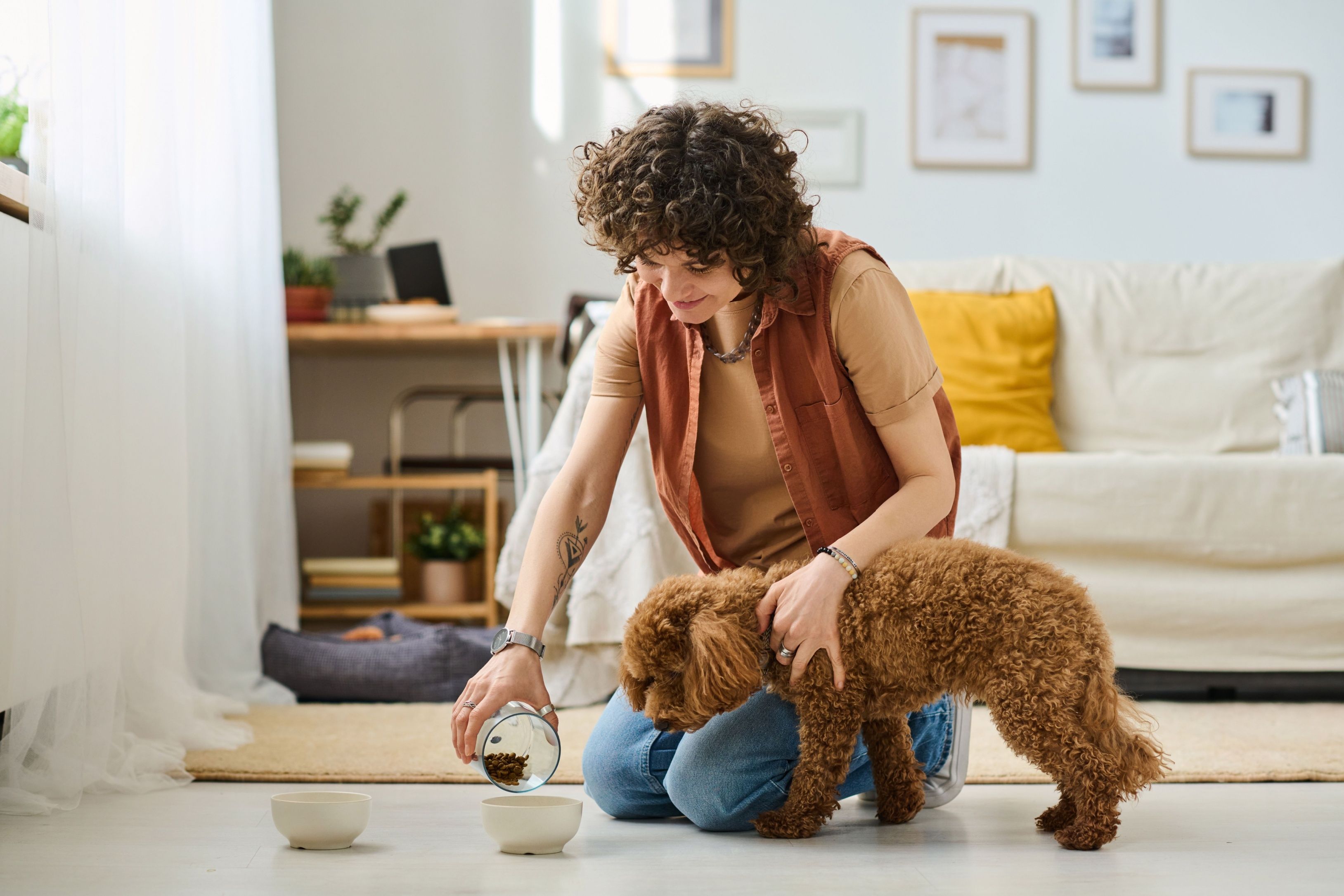 Owner feeding her pet at home