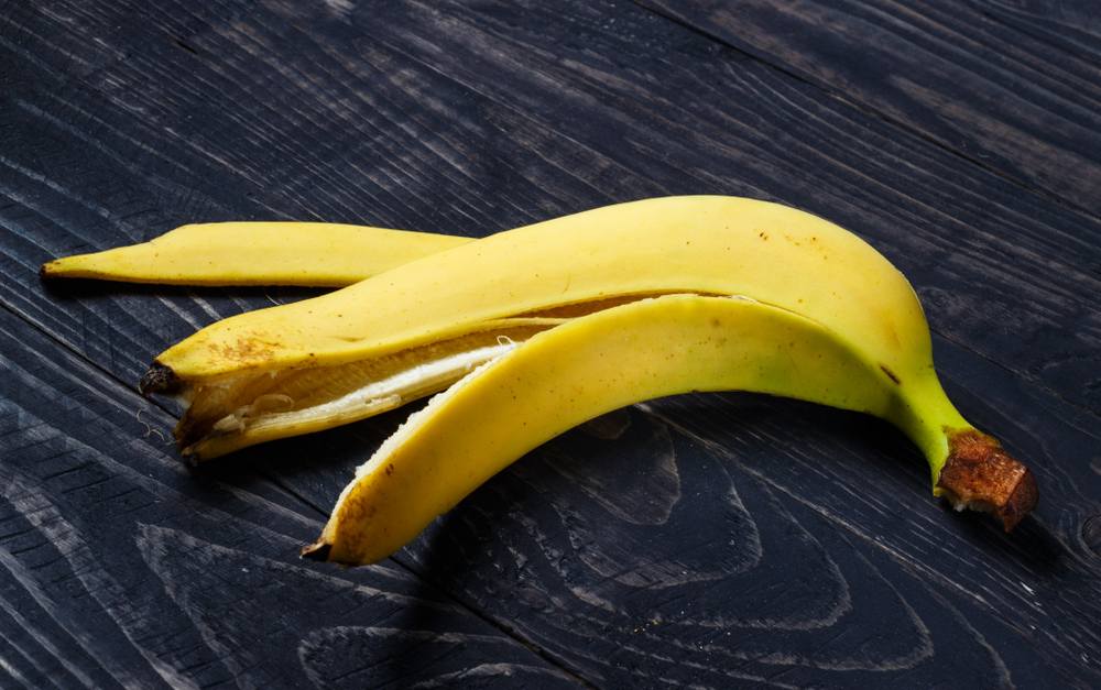 Can Dogs Eat Banana Peels? - Wagging 