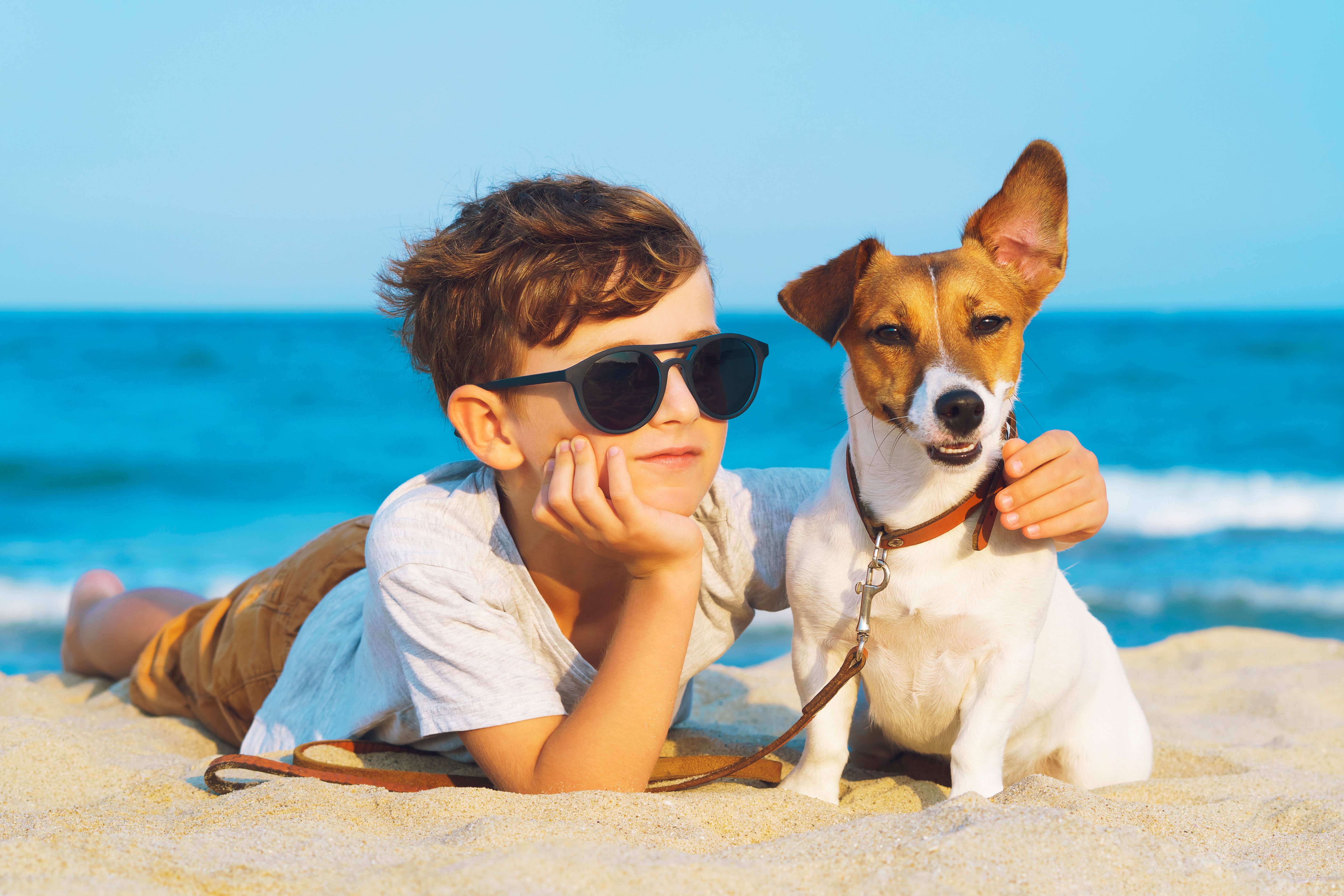 Happy 8 year old boy hugging his dog breed Jack Russell terrier at the seashore