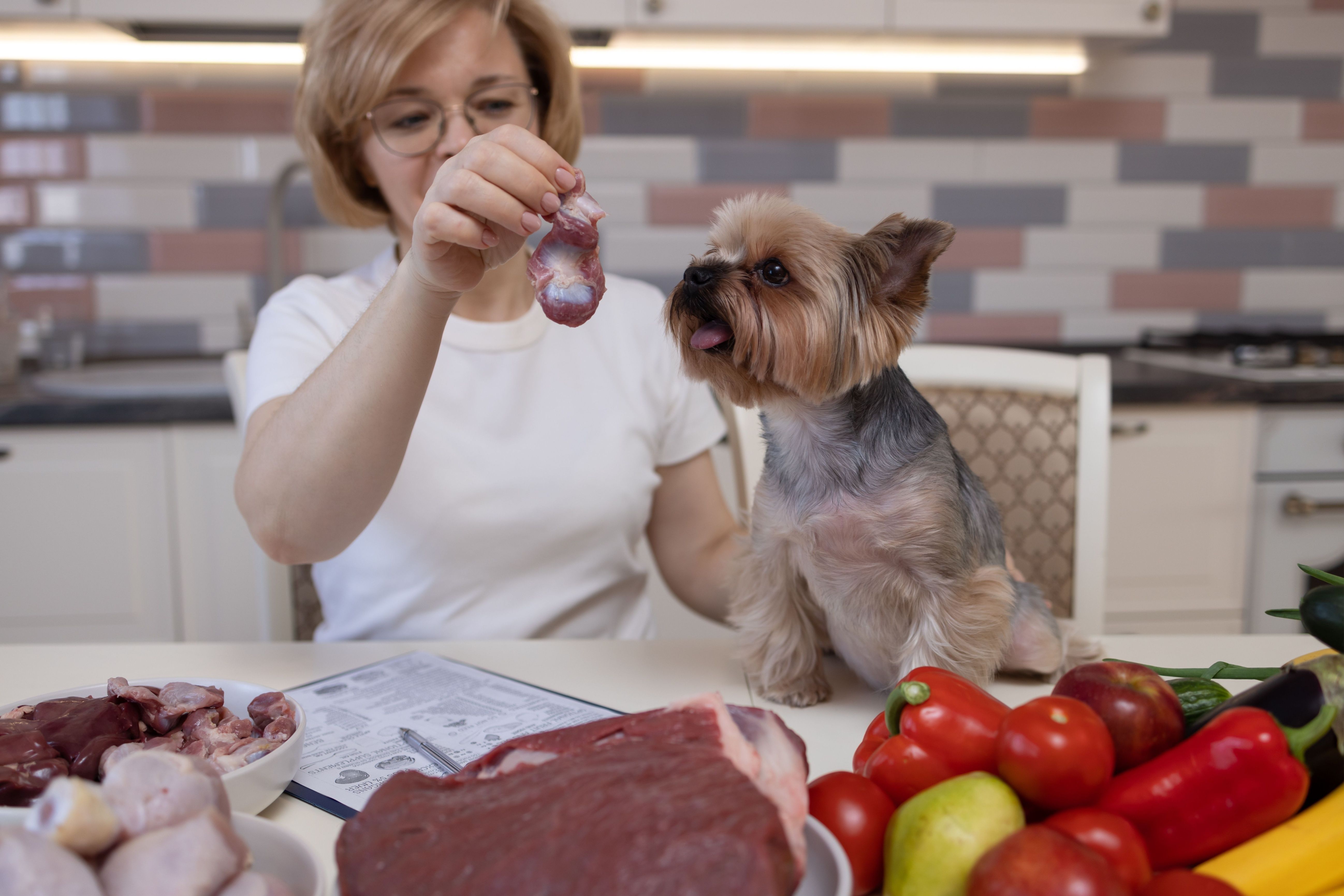 A veterinarian-nutritionist makes a diet for the Yorkshire Terrier from meat, fruits and vegetables