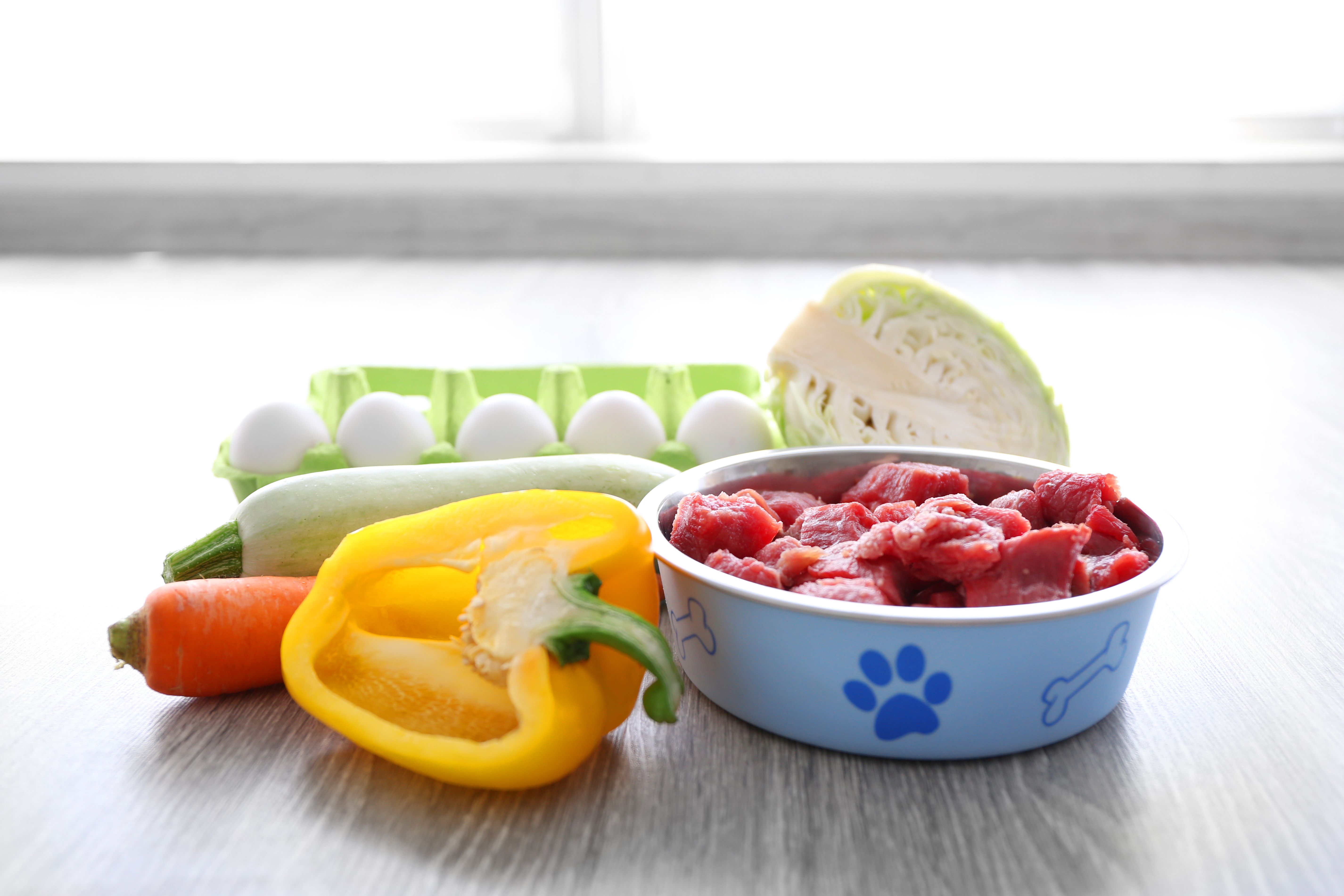 Organic dog food in a bowl on a wooden floor