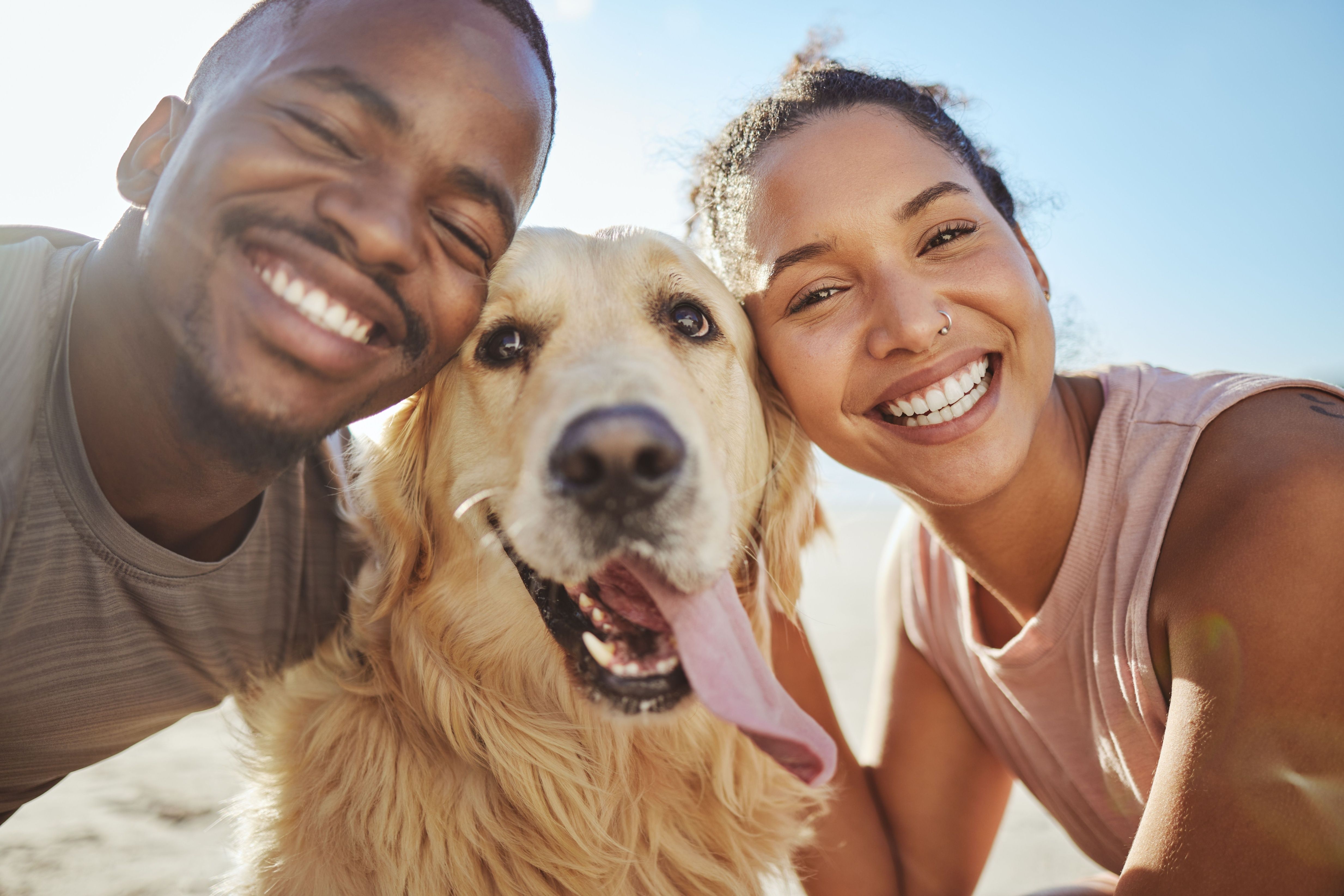  couple on the beach during summer walking their pet