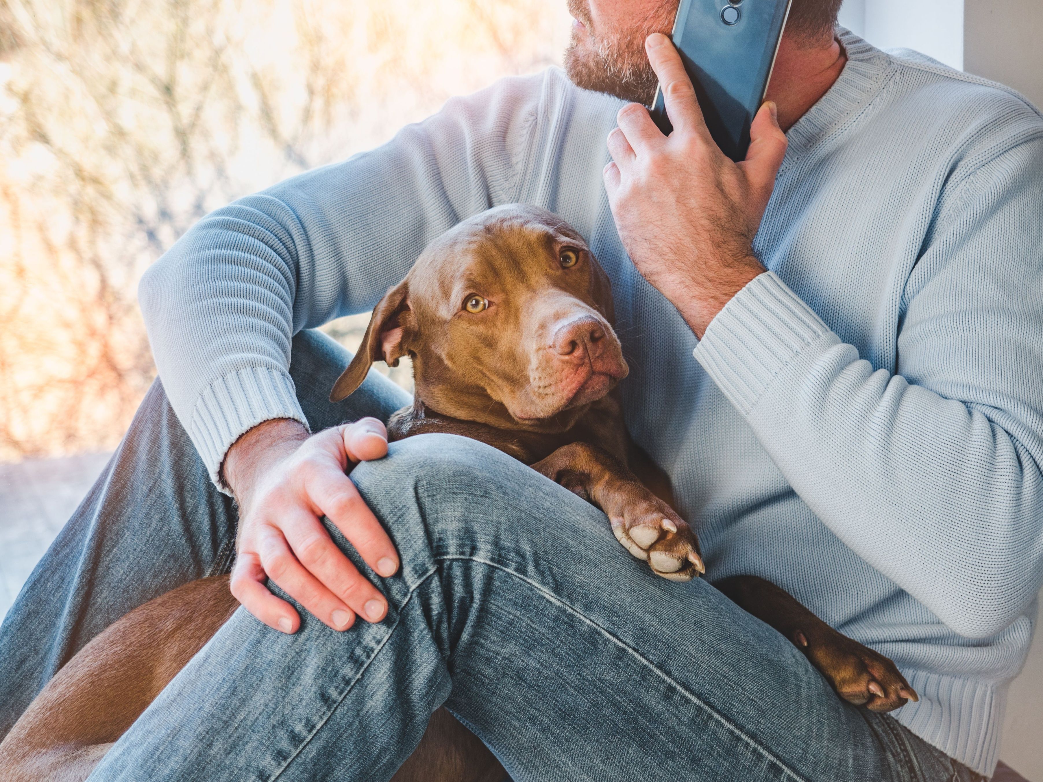 man holding dog while calling vet